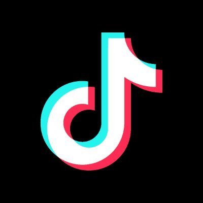The Economic Impact of TikTok